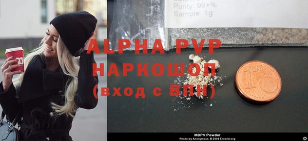 стафф Зерноград