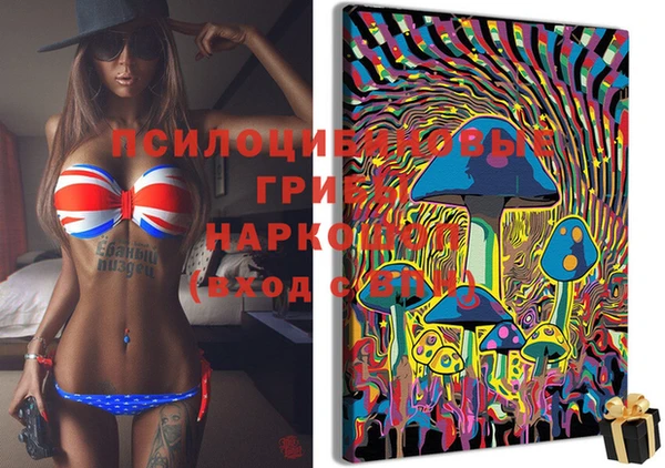 стафф Зерноград