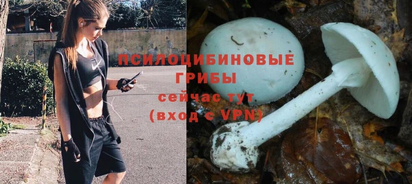 таблы Зеленодольск