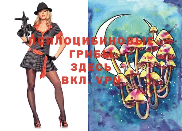 марки lsd Зеленокумск