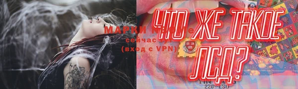 стафф Зерноград