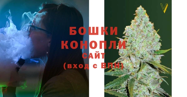 стафф Зерноград